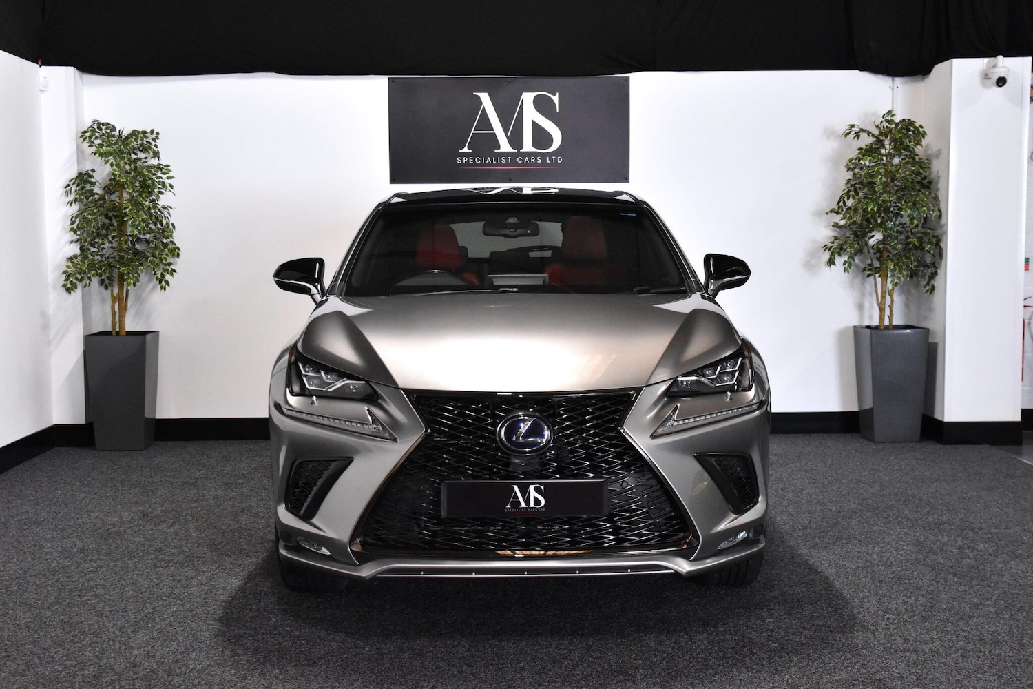 Used Lexus NX for sale - 77359212: Photo 3