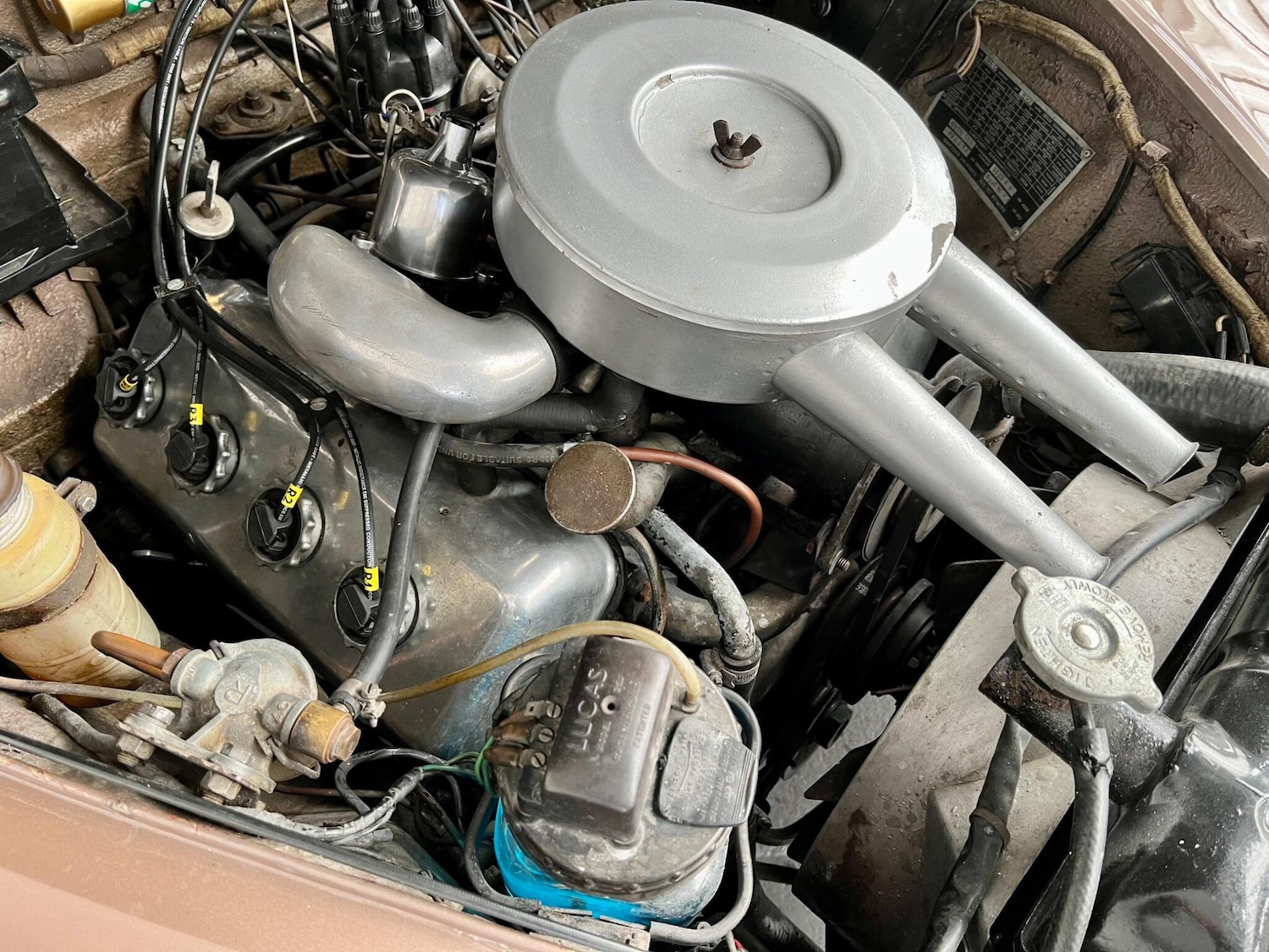 Used Daimler V8 1965 for sale - 76727844: Photo 65