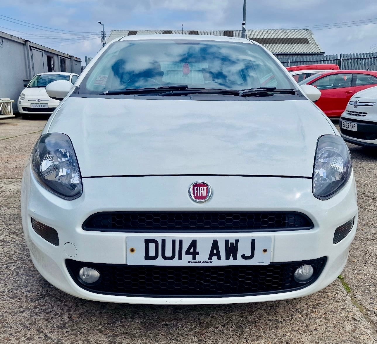 Used Fiat Punto 2014 for sale - 76376855: Photo 11