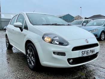Used Fiat Punto 2016 for sale - 79344385: Photo