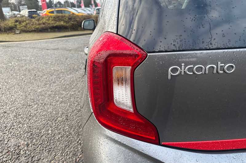 Used Kia Picanto 2024 for sale - 77322556: Photo 31