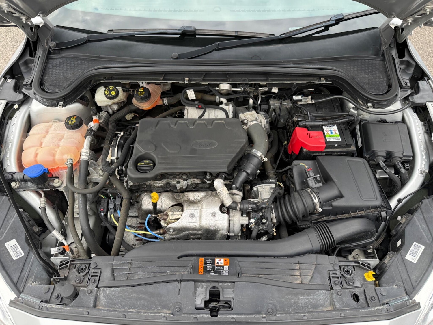 Used Ford Focus for sale - 77768355: Photo 15