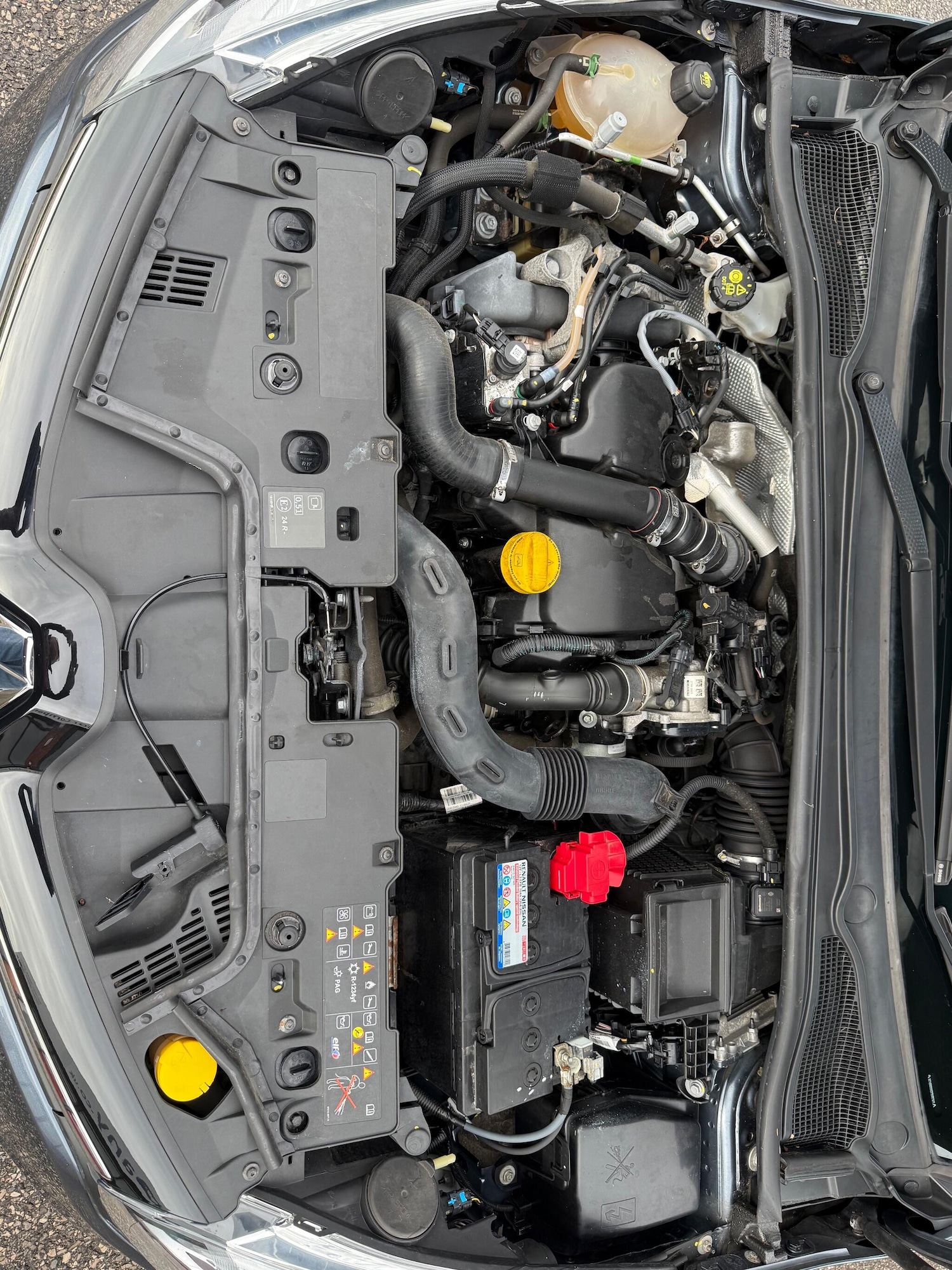 Used Renault Clio 2025 for sale - 77177803: Photo 15