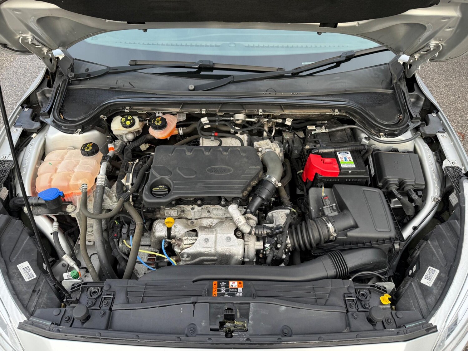 Used Ford Focus for sale - 77586795: Photo 15