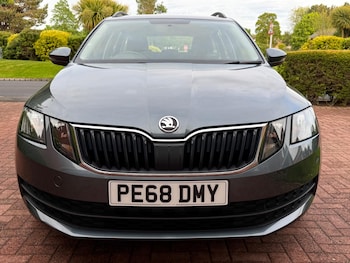 Used Skoda Octavia 2019 for sale - 78729534: Photo