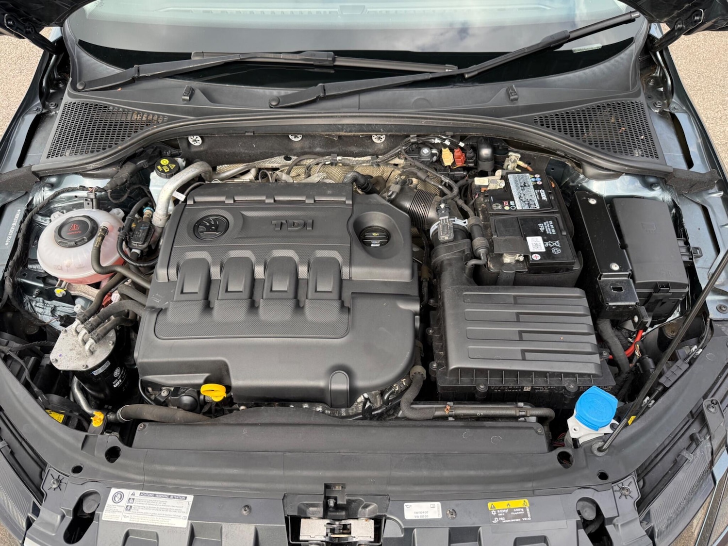 Used Skoda Octavia 2018 for sale - 77799731: Photo 15