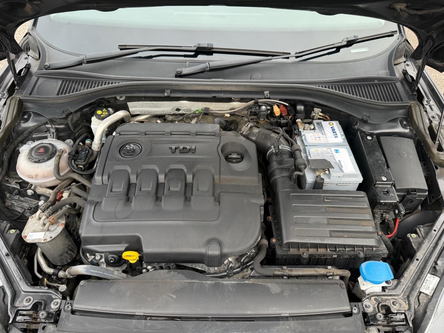 Used Skoda Superb 2026 for sale - 77753868: Photo 15