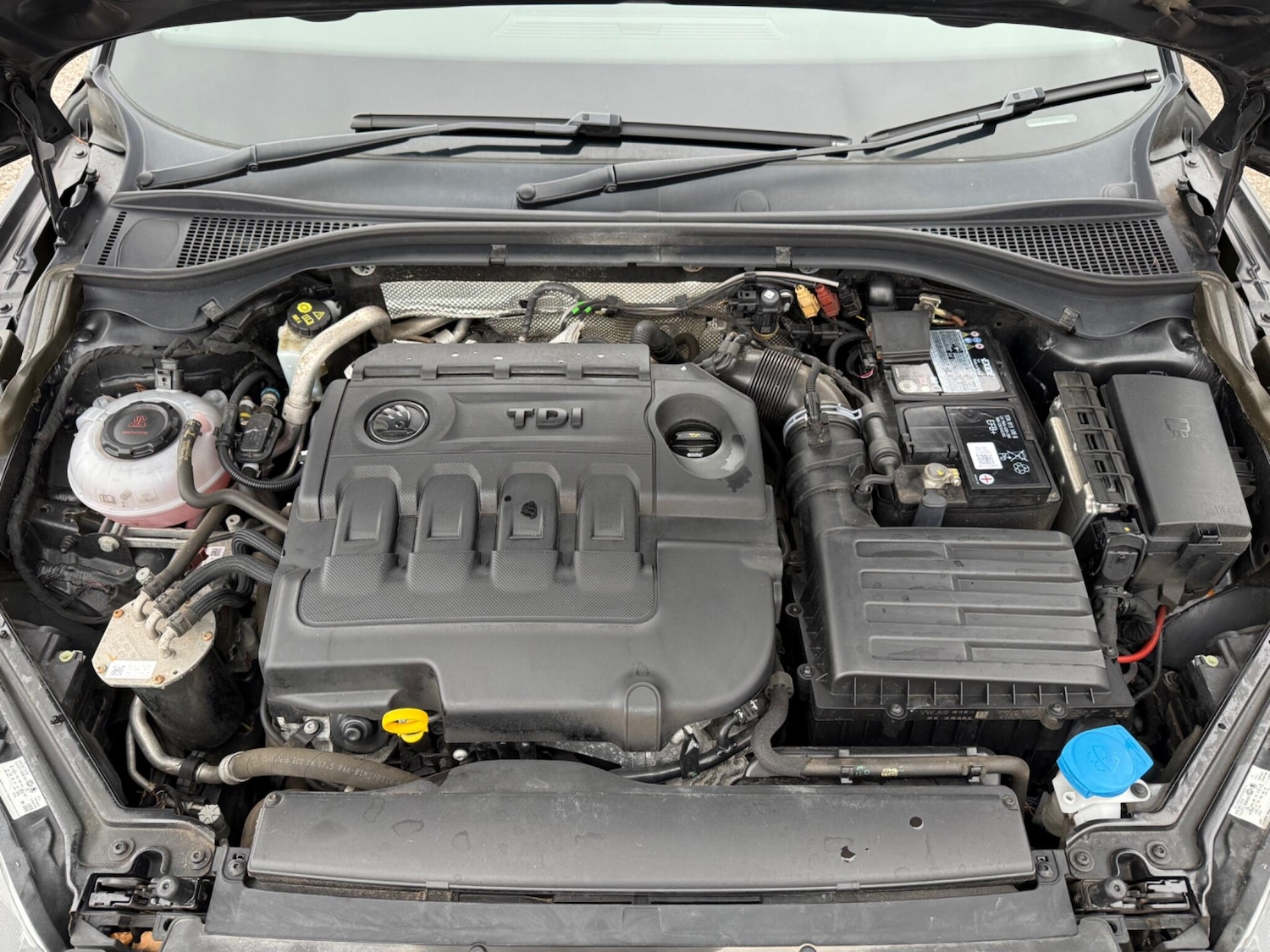 Used Skoda Superb for sale - 77440324: Photo 15