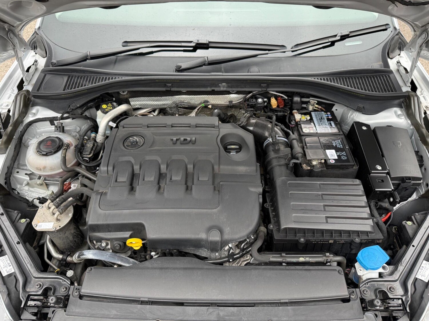 Used Skoda Superb for sale - 77440022: Photo 15