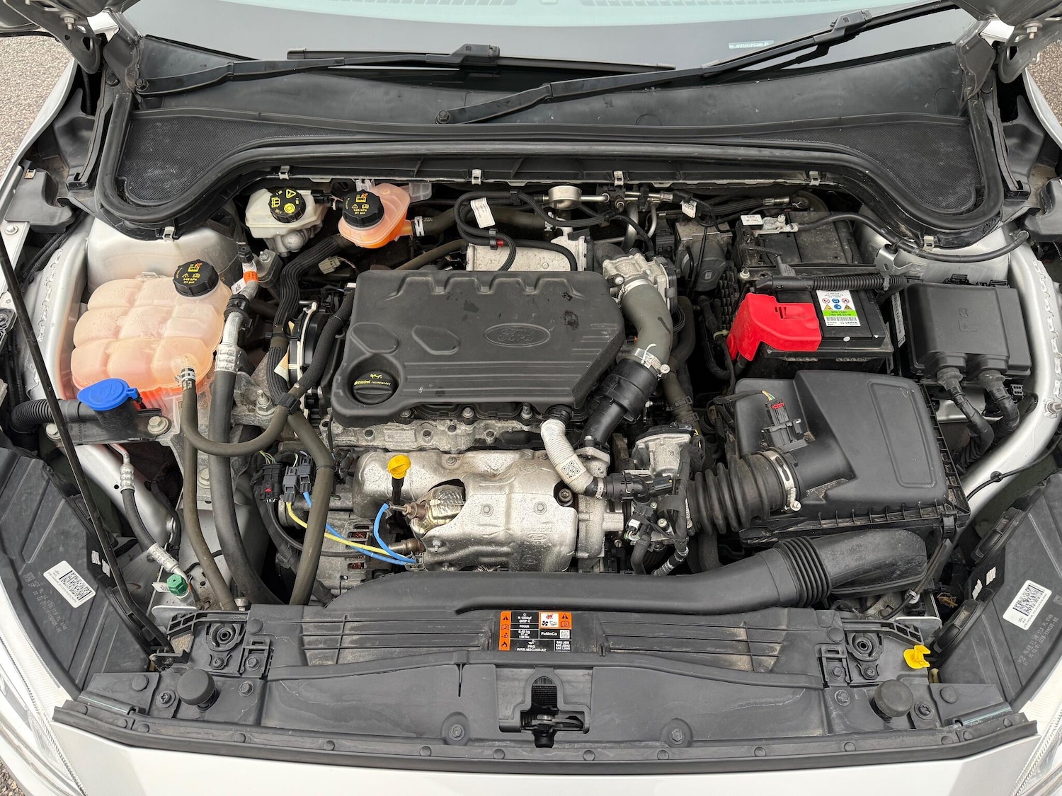 Used Ford Focus for sale - 77823815: Photo 15