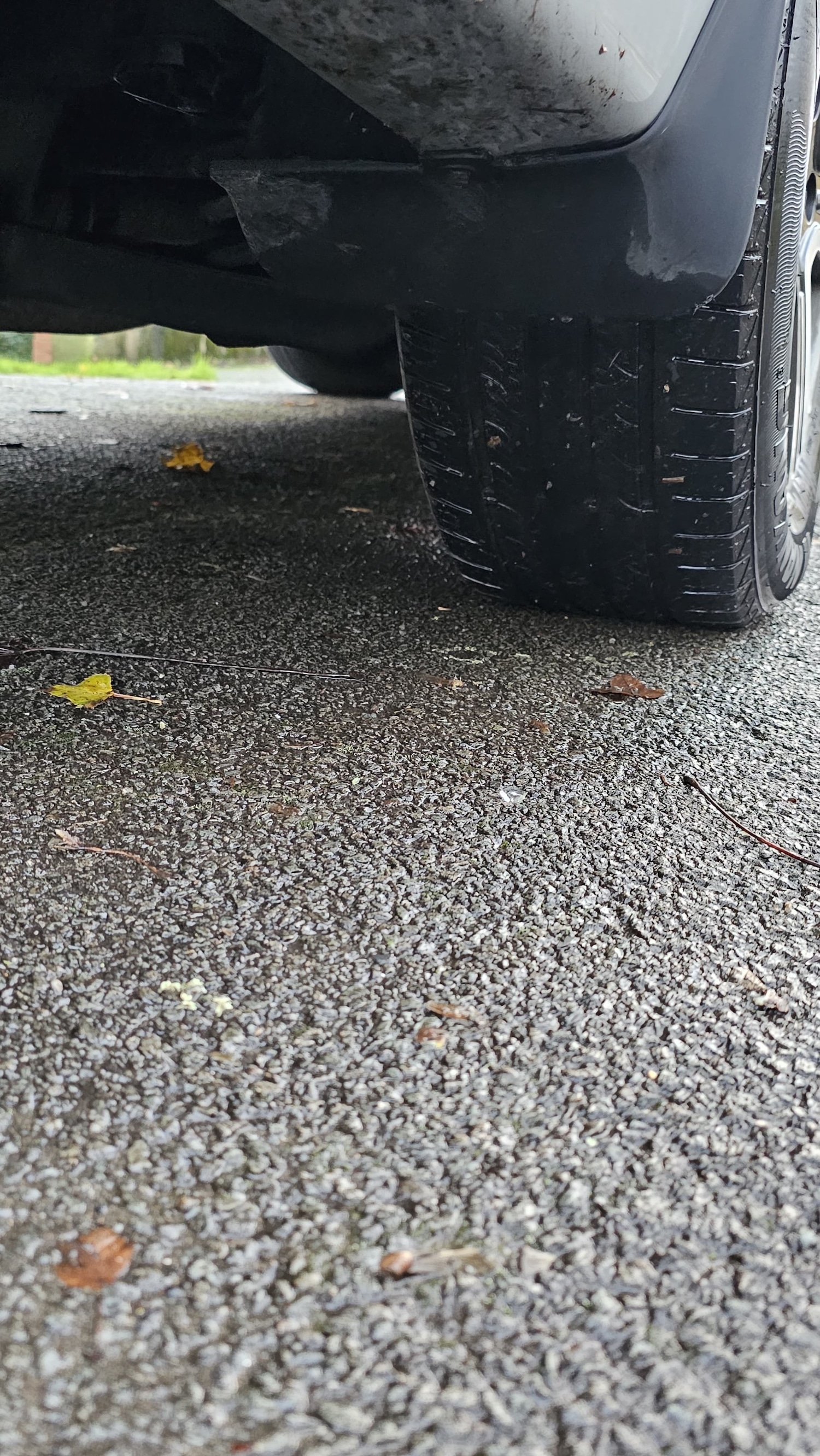 Used Ssangyong Turismo 2015 for sale - 77742723: Photo 46