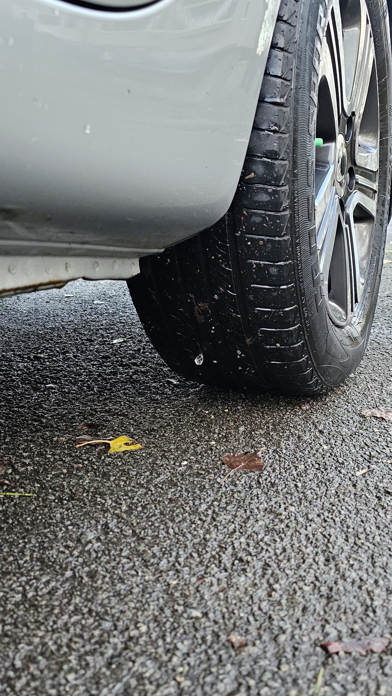 Used Ssangyong Turismo 2015 for sale - 77742723: Photo 48