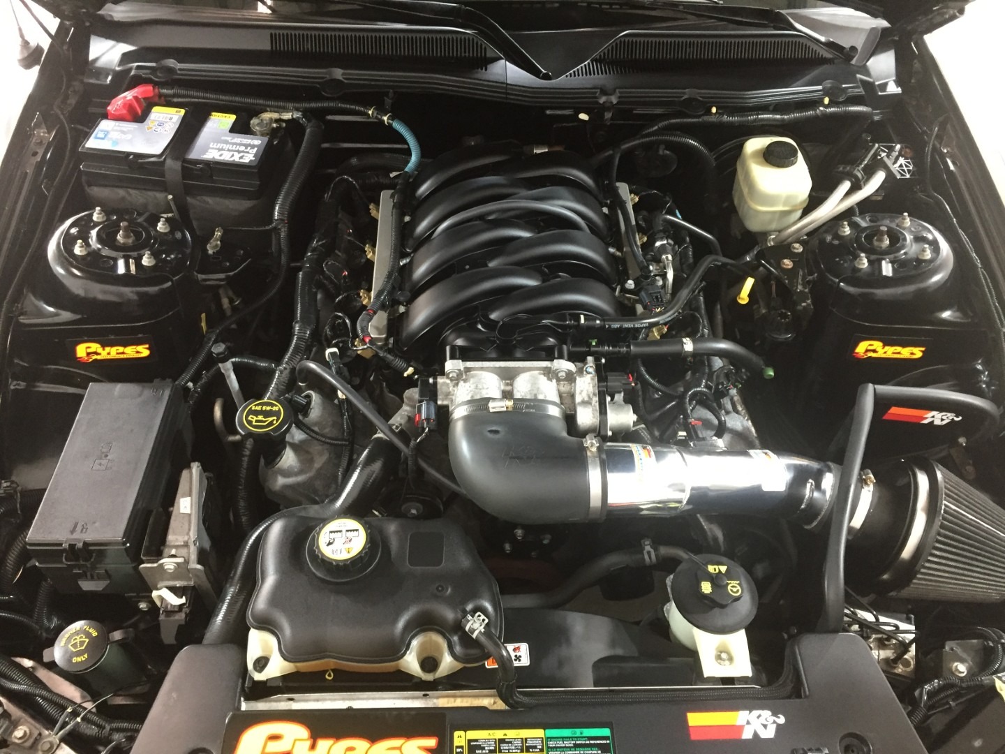 Used Ford Mustang 2005 for sale - 77974024: Photo 13