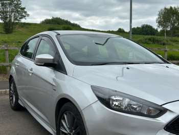 Used Ford Focus 2016 for sale - 74900282: Photo
