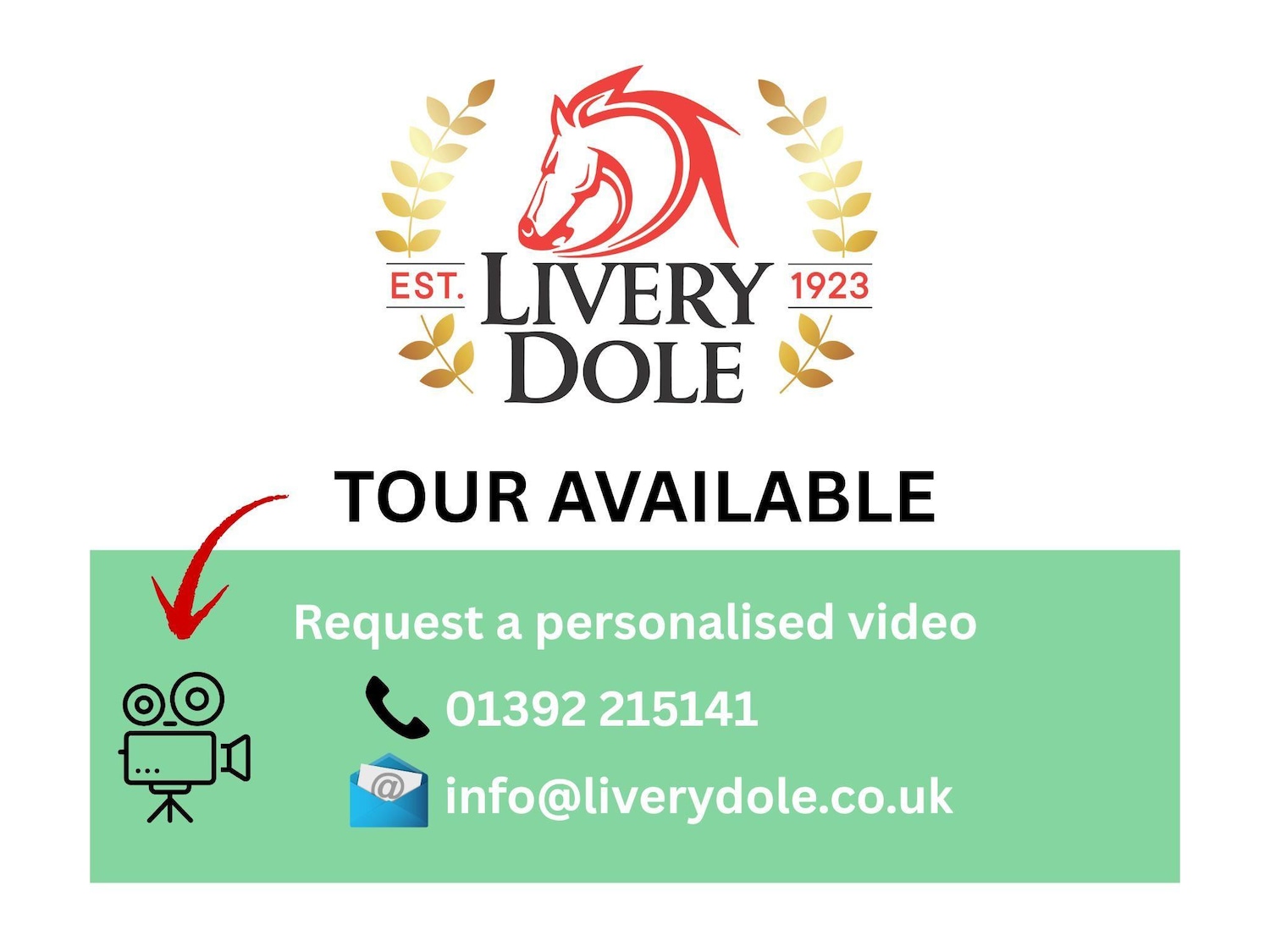 Used GWM Funky Cat 2023 for sale - 76824995: Photo 17