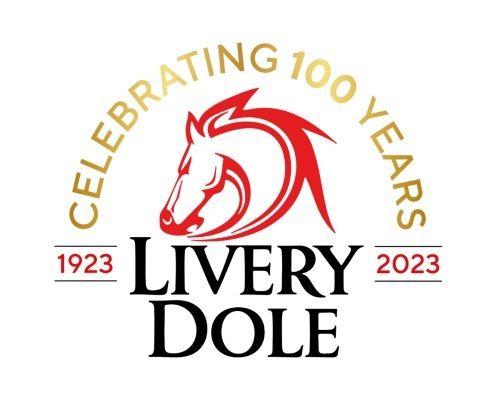 Used Isuzu D-Max 2025 for sale - 76744802: Photo 8