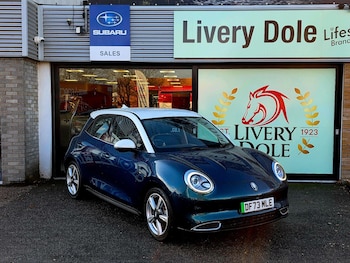 GWM Funky Cat feature image