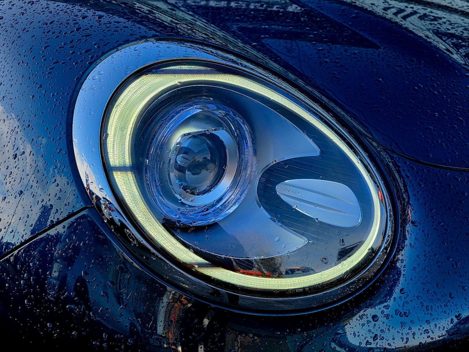 Used GWM Funky Cat 2023 for sale - 77156014: Photo 29