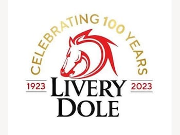 Used Volkswagen Tiguan Allspace 2021 for sale - 77479456: Photo