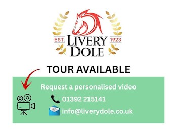 Used Volkswagen Tiguan Allspace 2021 for sale - 77479456: Photo