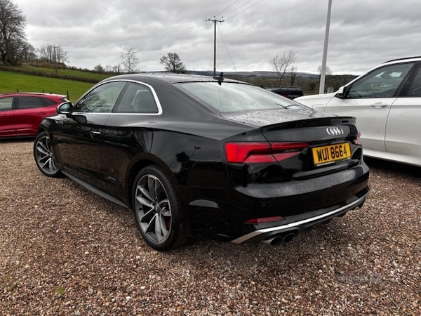 Used Audi A5 2017 for sale - 77971142: Photo 5