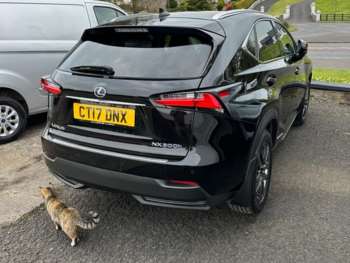 Used Lexus NX 2017 for sale - 74396794: Photo