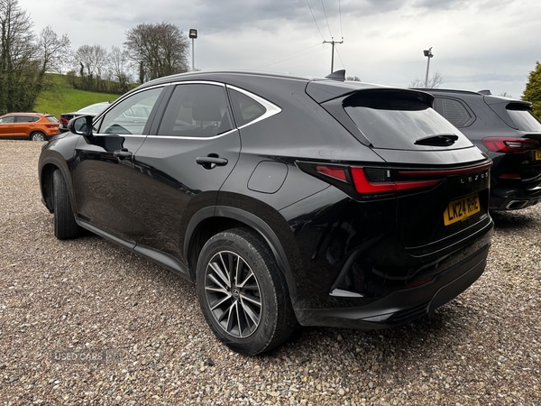 Used Lexus NX 2024 for sale - 78158028: Photo 2