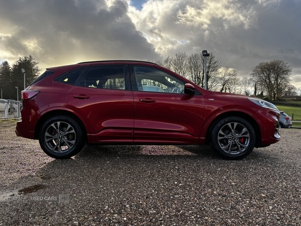 Used Ford Kuga 2020 for sale - 77157086: Photo 10