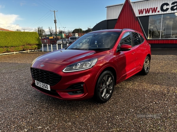Used Ford Kuga 2020 for sale - 77157086: Photo 3
