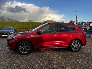 Used Ford Kuga 2020 for sale - 77157086: Photo