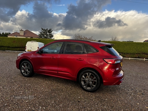 Used Ford Kuga 2020 for sale - 77157086: Photo 6