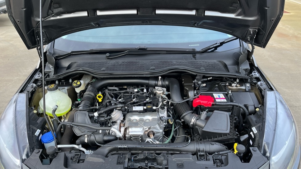 Used Ford Fiesta 2023 for sale - 77031355: Photo 16