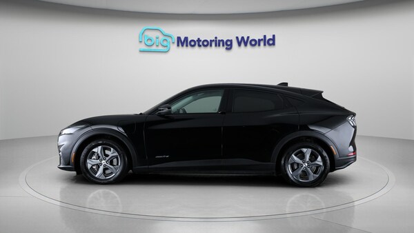 Used Ford Mustang Mach-E 2022 for sale - 76226571: Photo 5