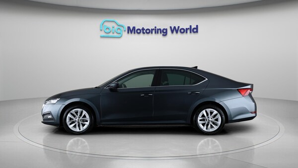 Used Skoda Octavia 2022 for sale - 76215439: Photo 5