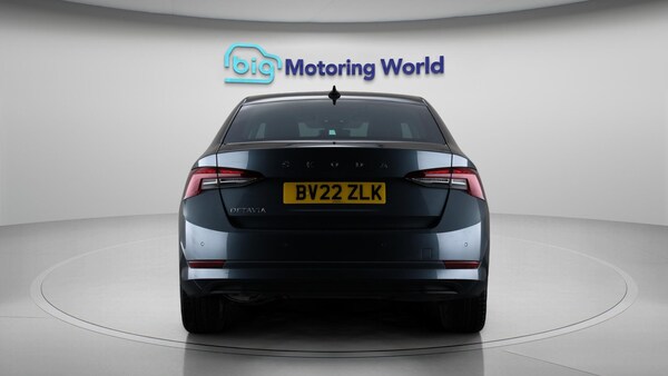 Used Skoda Octavia 2022 for sale - 76215439: Photo 7