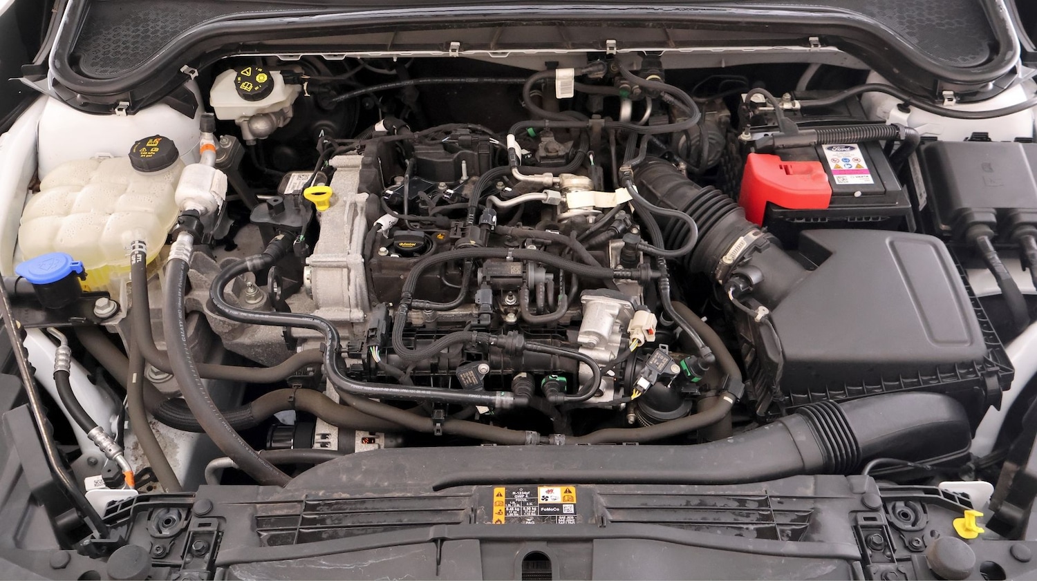 Used Ford Focus for sale - 78201660: Photo 19