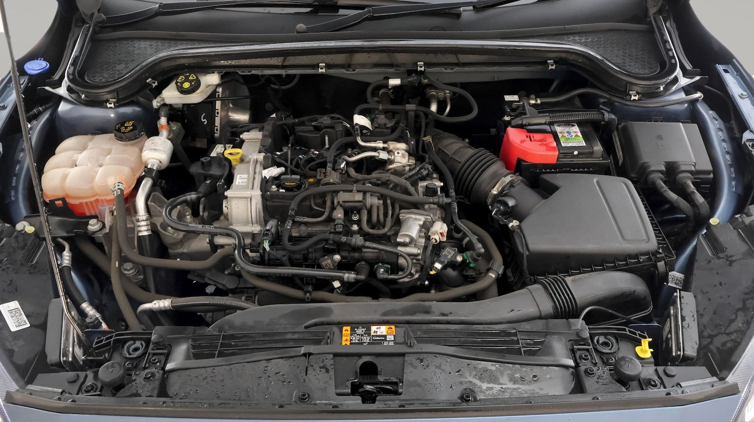 Used Ford Focus 2022 for sale - 77678571: Photo 19