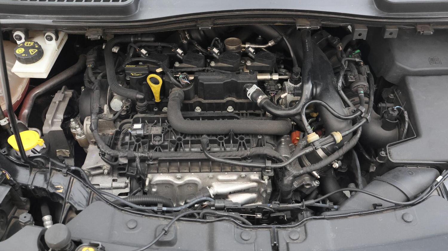 Used Ford Kuga 2019 for sale - 76512455: Photo 19