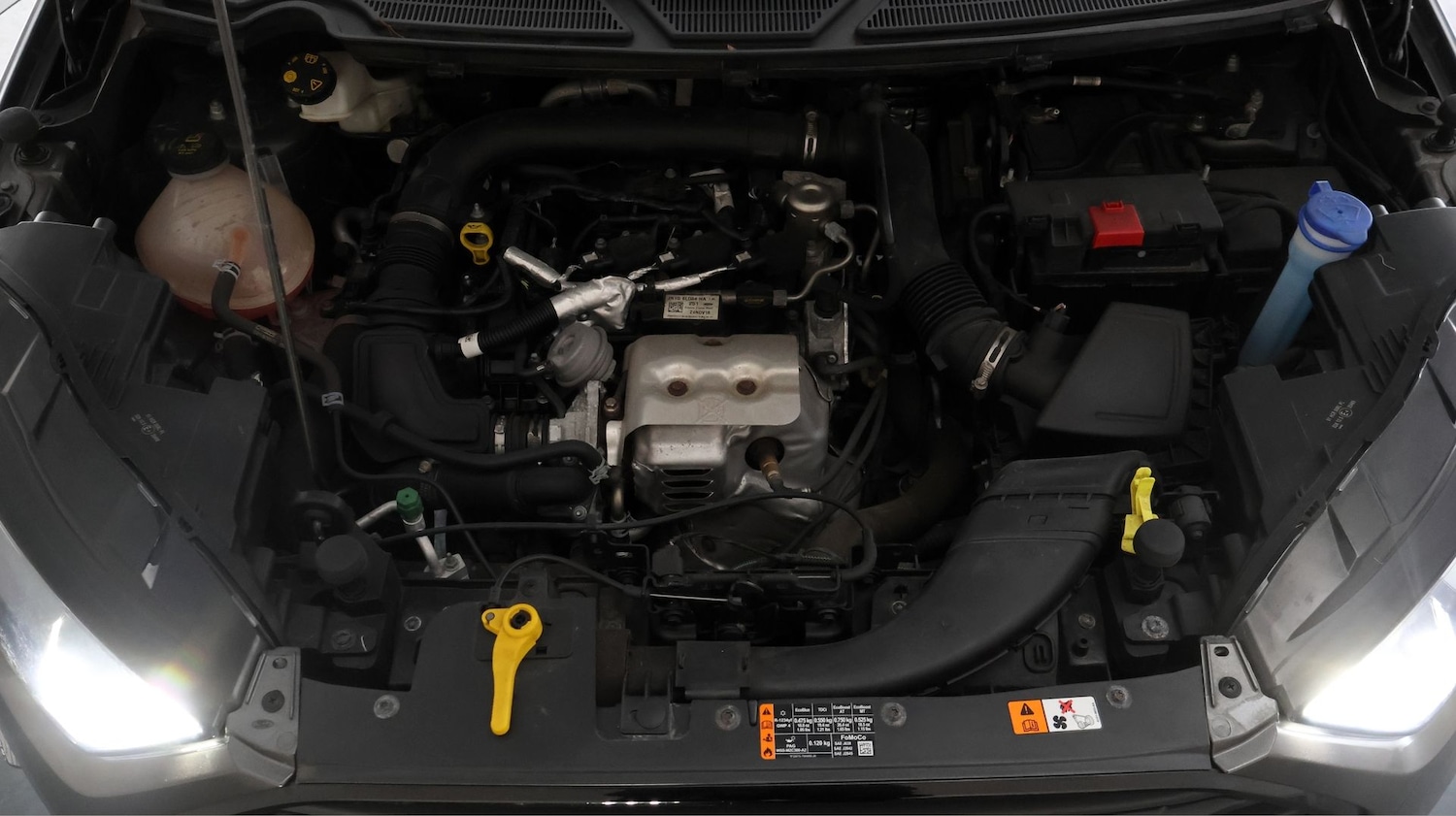 Used Ford Ecosport for sale - 77181891: Photo 19