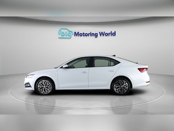 Used Skoda Octavia 2022 for sale - 77711056: Photo