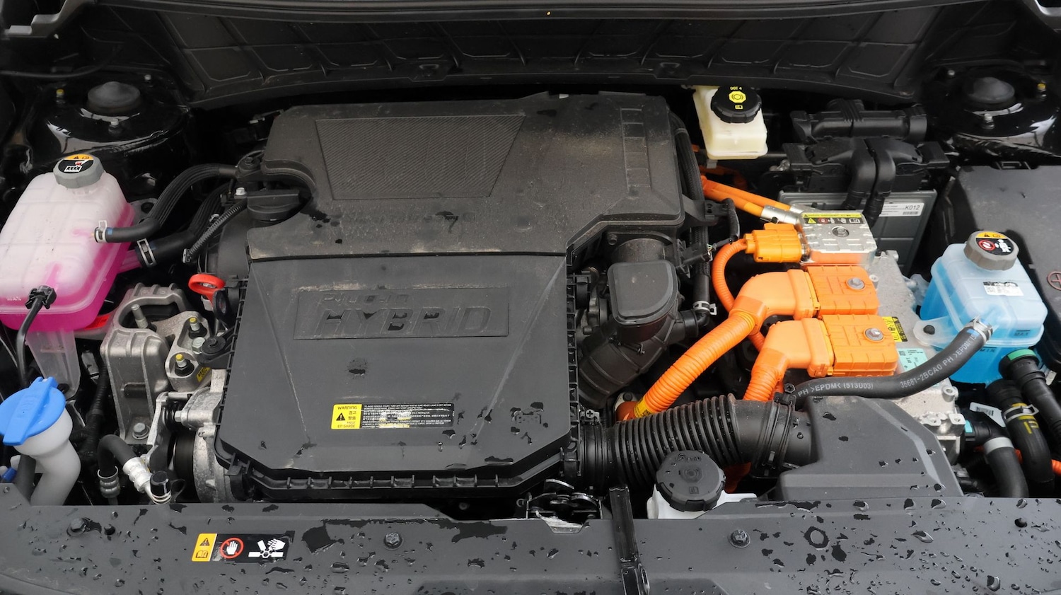 Used Kia Niro 2024 for sale - 77136322: Photo 19