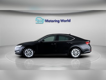 Used Skoda Octavia 2020 for sale - 79597527: Photo
