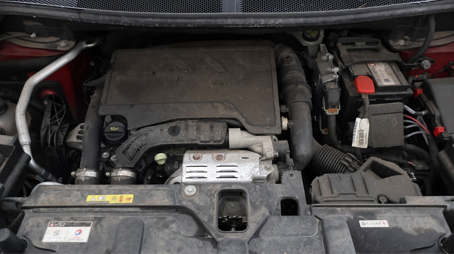 Used Peugeot 3008 2019 for sale - 77181671: Photo 19