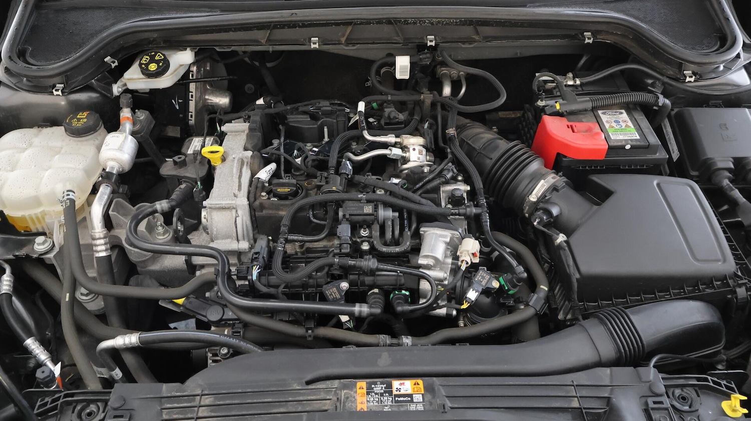 Used Ford Focus 2023 for sale - 76380884: Photo 19