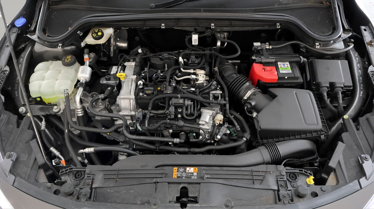 Used Ford Focus 2024 for sale - 77182095: Photo 19