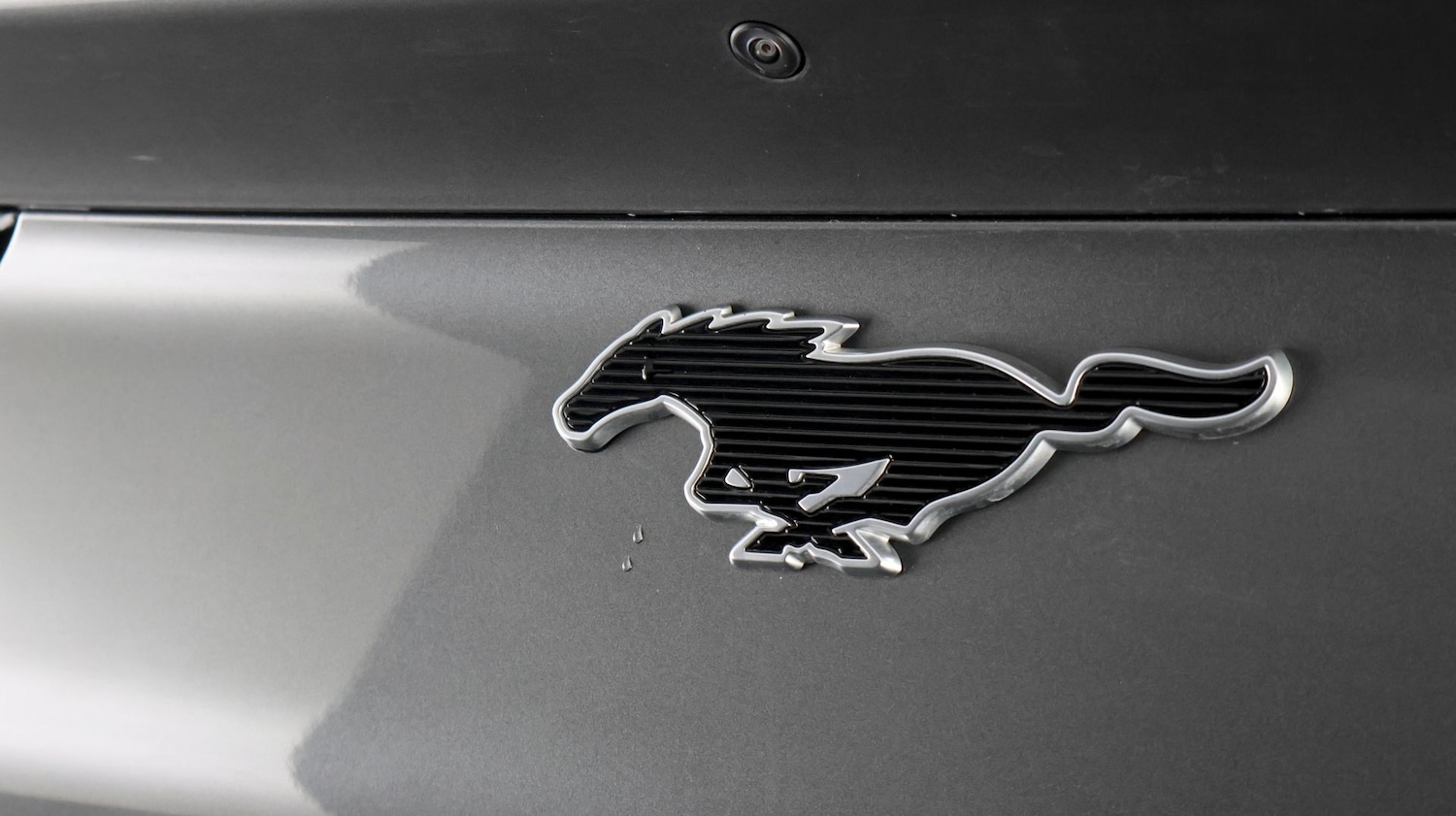 Used Ford Mustang Mach-E 2023 for sale - 78007956: Photo 23