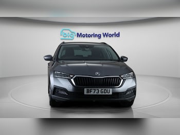 Used Skoda Octavia 2023 for sale - 79089281: Photo