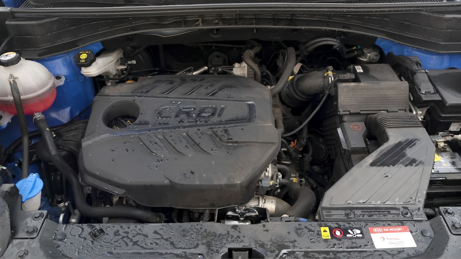 Used Kia Sportage for sale - 77721011: Photo 18