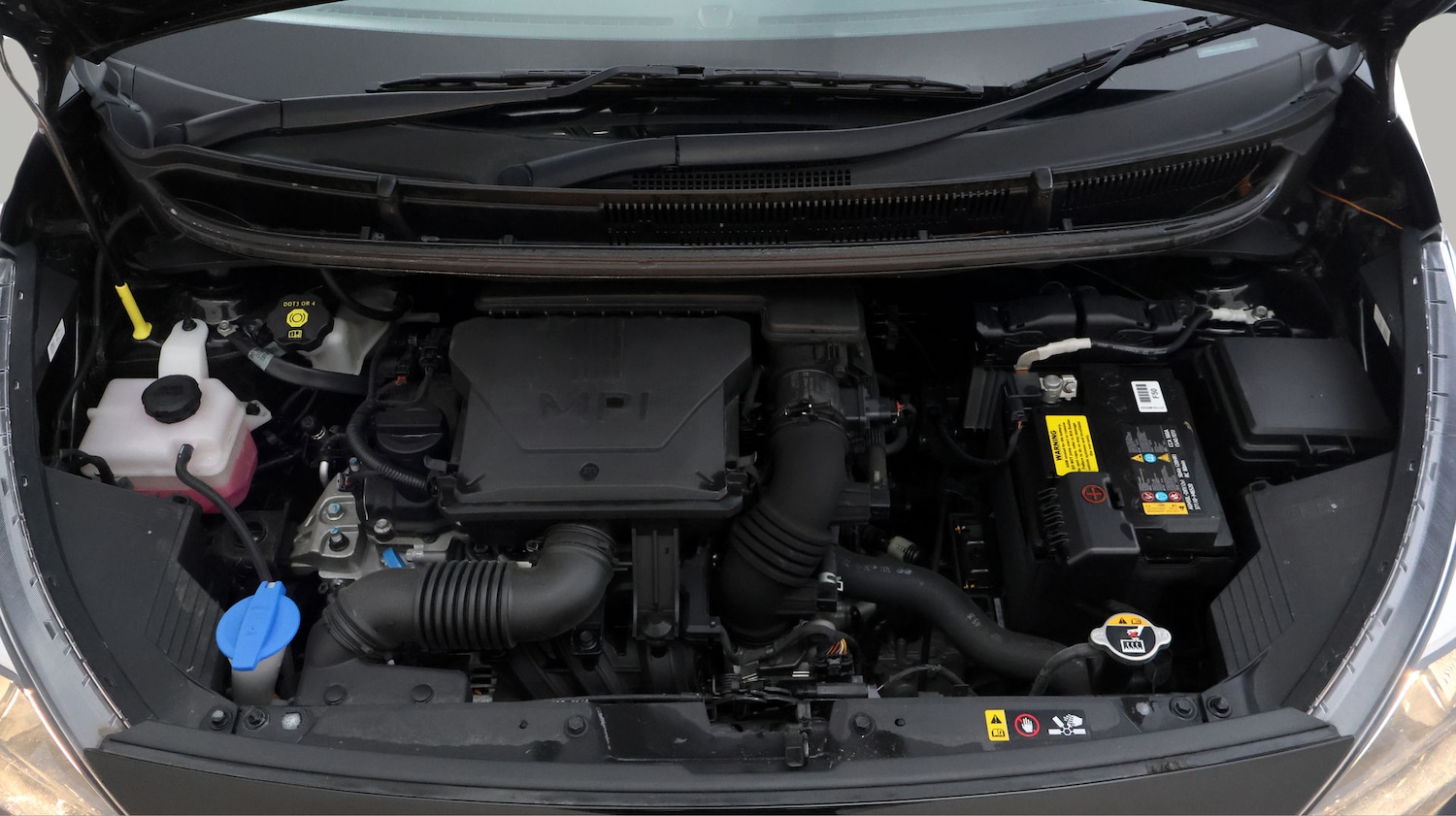 Used Kia Picanto 2023 for sale - 77304000: Photo 18