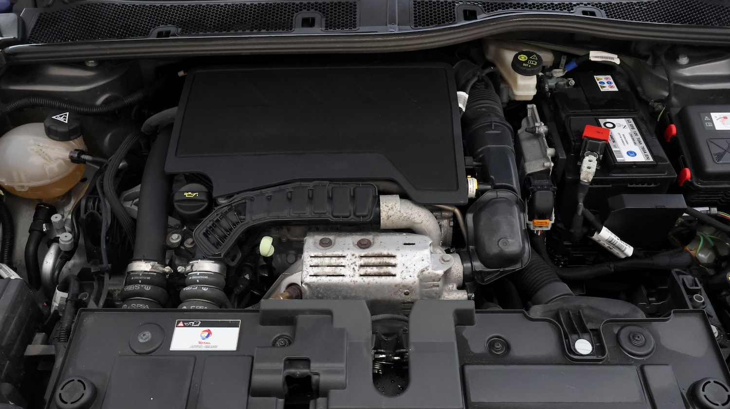 Used Citroen C4 2023 for sale - 77975770: Photo 18